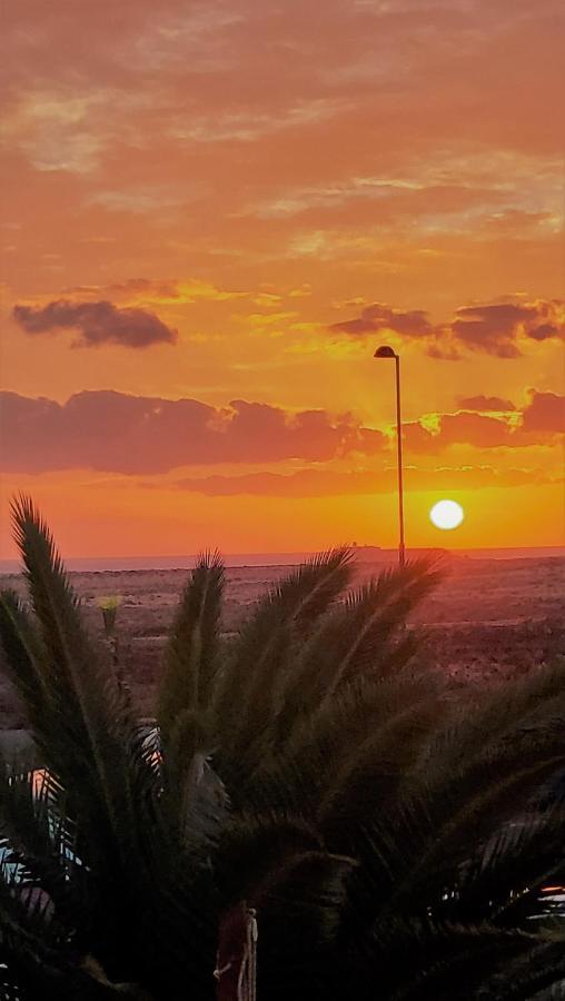 Casa Leon Fuerteventura Διαμέρισμα Κοραλέχο Εξωτερικό φωτογραφία